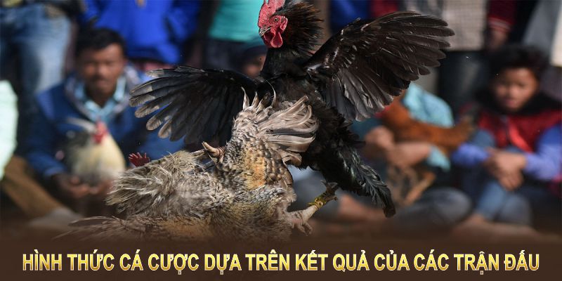 Kèo đá gà là hình thức cá cược dựa trên kết quả của các trận đấu giữa hai chiến kê