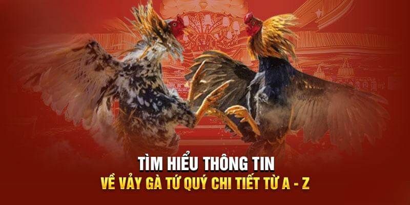 Cách xem vảy gà tứ quý đá hay