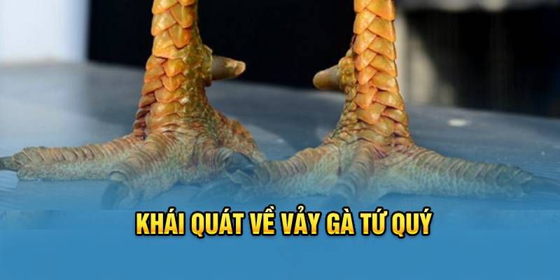 Giới thiệu về vảy gà tứ quý